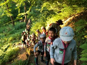 36609177 1200746846733932 8209998361906905088 o 1 1530791566 300x225