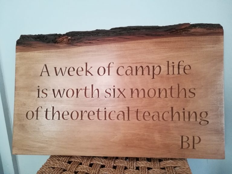 BP plaque 768x576