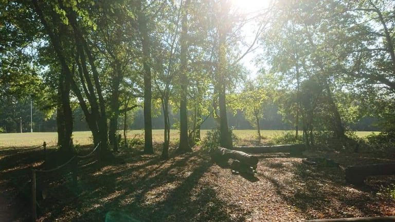 FB IMG 1579608806424 768x432