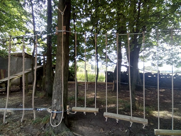 IMG 20180725 110855 HDR 768x576