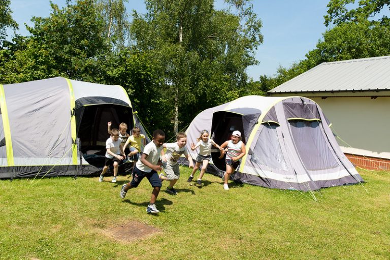 35511191410 24d9a6d50a c 2 768x512