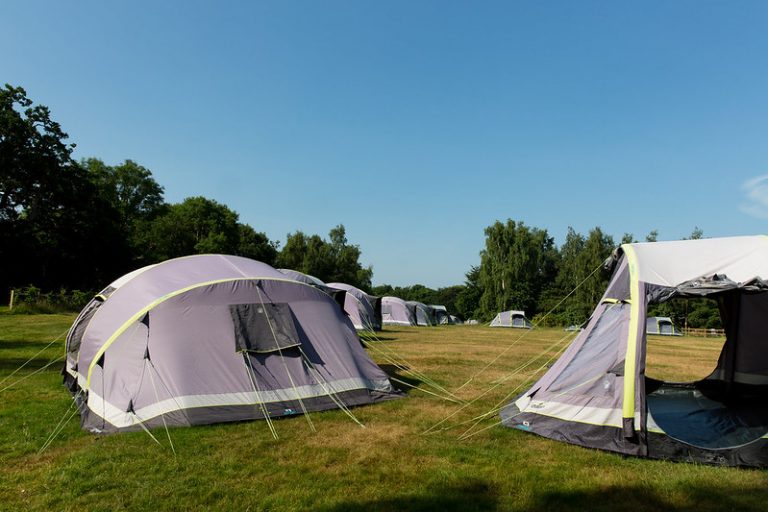 35511280180 cb78087806 c 768x512