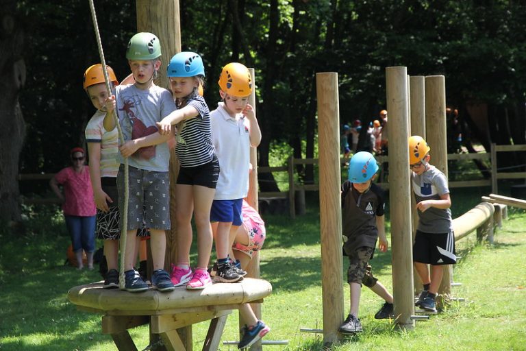 35833308072 9595d7461a c 768x512