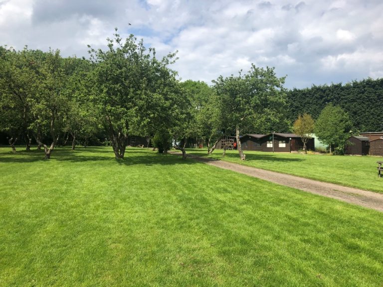 Raywell Park Orchard 768x576