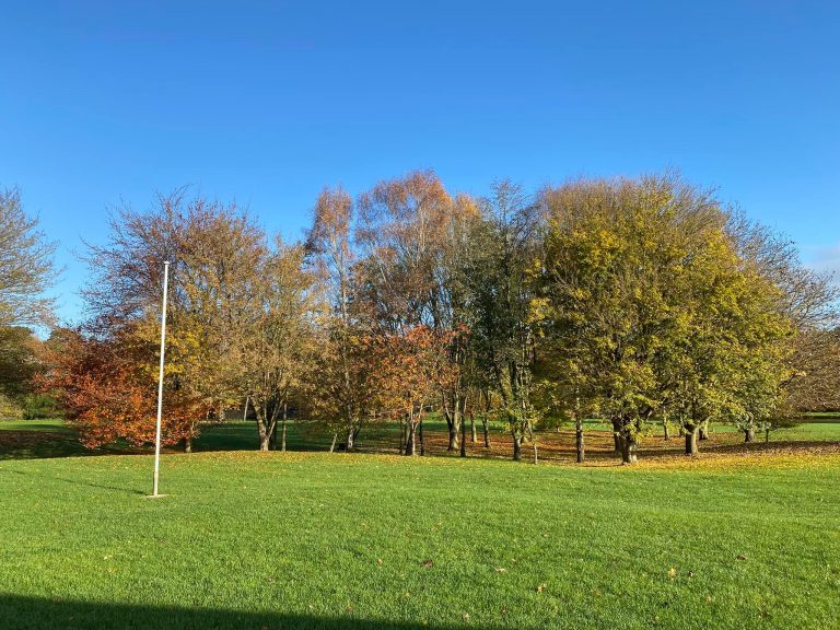 260313480 132925329105043 5953667505258110961 n 768x576