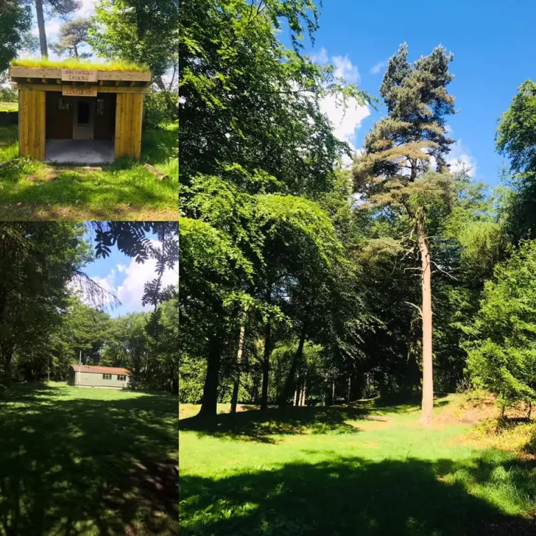 121821439 807084480050425 3061209838014319336 n.jpg 768x768