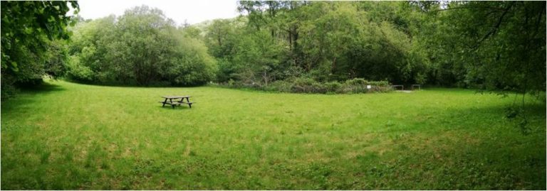 2 1 1024x359 1 768x269