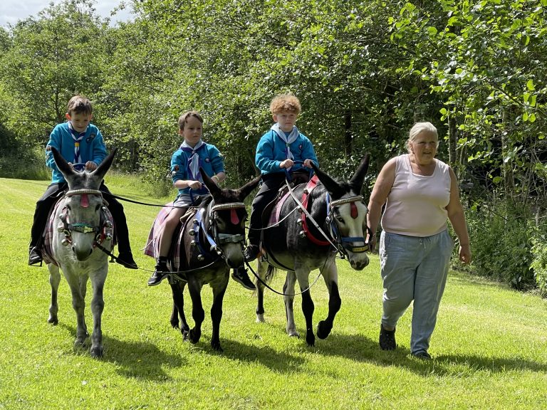 Donkey Rides on our Beaver Beach Party Donkey Rides on our Beaver Beach Party