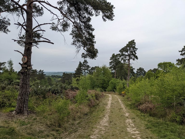 PXL 20220506 172216553 3 768x576