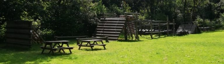 cropped assault 768x220