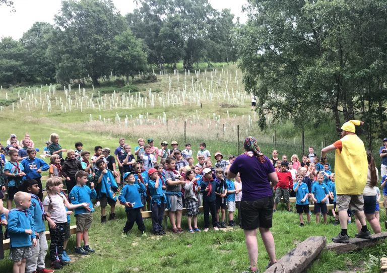 Low Wood pic 3 768x542