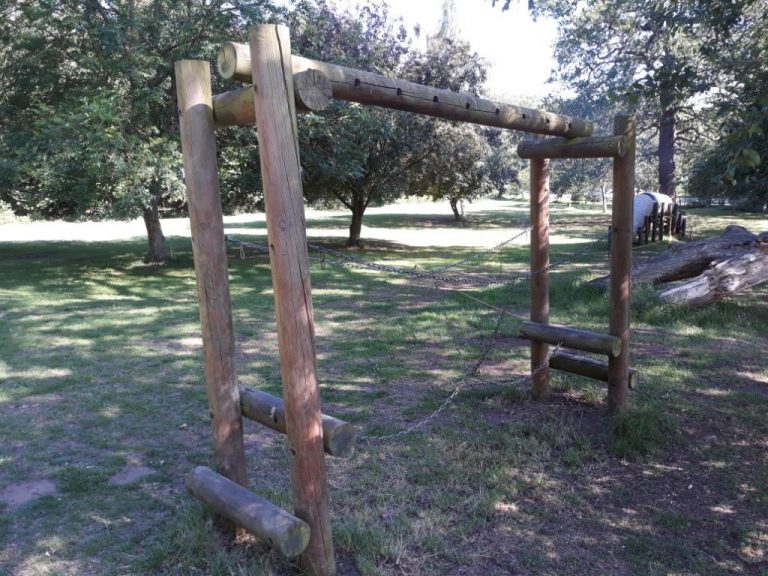 D903E08F 9014 46AE ACF9 FCD21375C49C 768x576