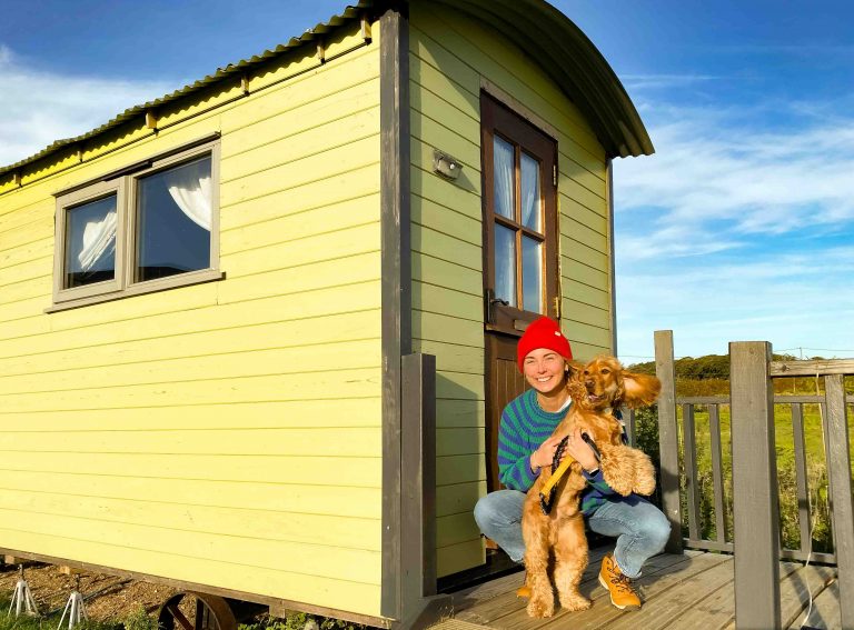 dog friendly shepherd hut 768x567