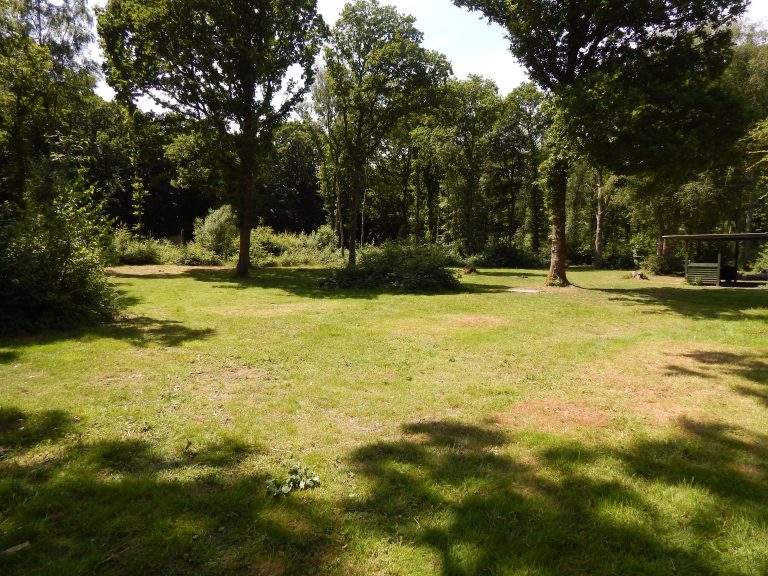 Oaks4 3018a 768x576