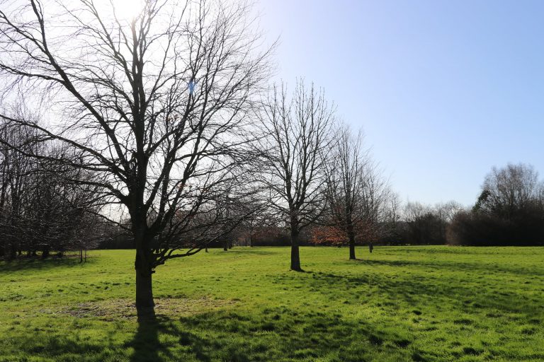 Bexon lane 4 768x512