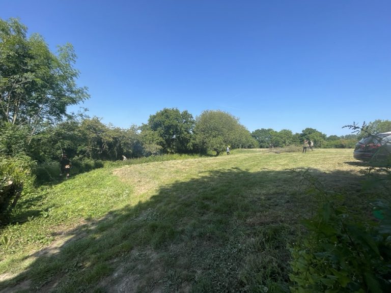 EE91D5AD 5367 468B B0C4 A98637E40E8E 1 105 c 768x576