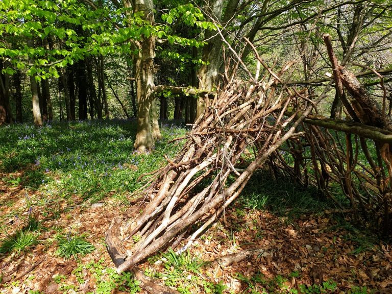 Chelwood shelter 768x576